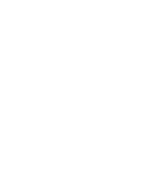 Speedfest Orange Team